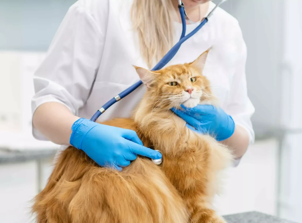 Clínica Médica de Pequenos Animais