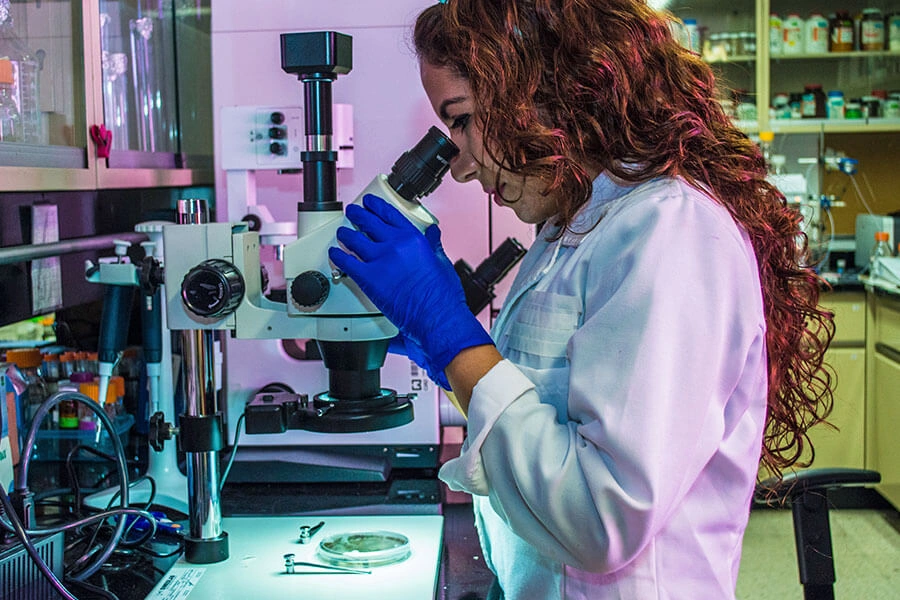 Microbiologia e Imunologia